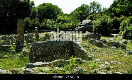 Nekropole von Li Muri. Arzachena. Provinz Sassari, Sardinien. Italien Stockfoto