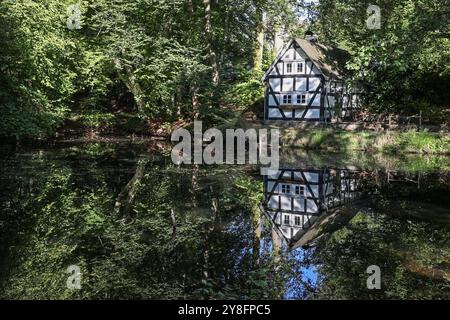 Ein wunderbarer Herbsttag im Siegerland. Das Backhaus am Pfarrteich in Freudenberg-Oberholzklau spiegelt sich im Teich. Herbst im Siegerland am 05.10.2024 in Freudenberg/Deutschland. *** Ein wunderbarer Herbsttag im Siegerland die Bäckerei am Pfarrteich in Freudenberg Oberholzklau spiegelt sich im Teichherbst im Siegerland am 05 10 2024 in Freudenberg wider Stockfoto