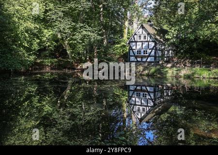 Ein wunderbarer Herbsttag im Siegerland. Das Backhaus am Pfarrteich in Freudenberg-Oberholzklau spiegelt sich im Teich. Herbst im Siegerland am 05.10.2024 in Freudenberg/Deutschland. *** Ein wunderbarer Herbsttag im Siegerland die Bäckerei am Pfarrteich in Freudenberg Oberholzklau spiegelt sich im Teichherbst im Siegerland am 05 10 2024 in Freudenberg wider Stockfoto