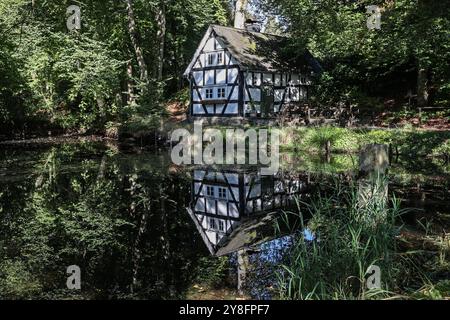 Ein wunderbarer Herbsttag im Siegerland. Das Backhaus am Pfarrteich in Freudenberg-Oberholzklau spiegelt sich im Teich. Herbst im Siegerland am 05.10.2024 in Freudenberg/Deutschland. *** Ein wunderbarer Herbsttag im Siegerland die Bäckerei am Pfarrteich in Freudenberg Oberholzklau spiegelt sich im Teichherbst im Siegerland am 05 10 2024 in Freudenberg wider Stockfoto