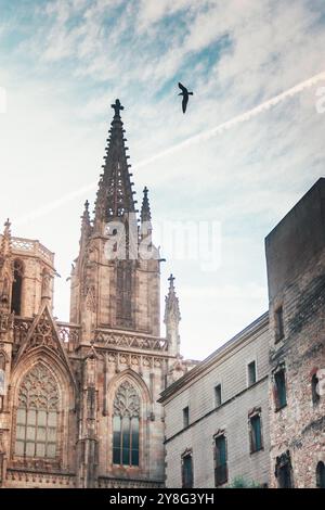 Barcelona Citutat Vella Stockfoto