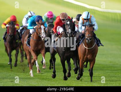 Der Drachenkönig, geritten von William Buick (rechts), gewinnt die Tattersalls October Auction Stakes 150.000 während des Virgin Bet Sun Chariot Day auf der Newmarket Racecourse, Suffolk. Bilddatum: Samstag, 5. Oktober 2024. Stockfoto