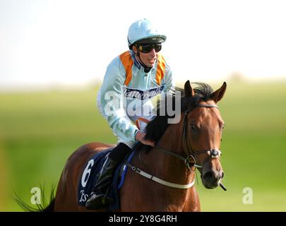 Der Drachenkönig wurde von William Buick geritten, nachdem er 150.000 die Tattersalls October Auction Stakes beim Virgin Bet Sun Chariot Day auf der Newmarket Racecourse in Suffolk gewonnen hatte. Bilddatum: Samstag, 5. Oktober 2024. Stockfoto