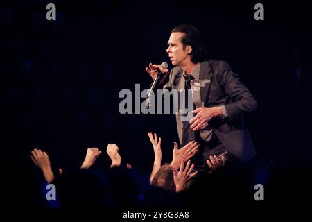 Nick Cave blickt in die Ferne, während Hände vom Publikum versuchen, ihn zu schnappen. Mit den Bad Seeds in Hovet in Stockholm, Oktober 2024 (Wild God Tour) Stockfoto