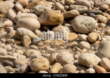 Dieses Bild zeigt eine Nahansicht verschiedener abgerundeter Steine und Kieselsteine in verschiedenen Größen und Farben, von weiß über Braun bis Grau. Stockfoto