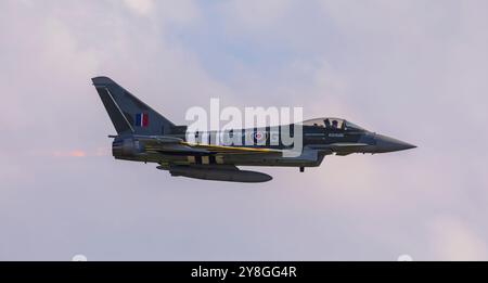 Duxford, Cambridgeshire, Großbritannien. Oktober 2024. Ein RAF Eurofighter Typhoon FGR.4, der von Flight Lieutenant David 'Turbo' Turnbull von der 29 Squadron bei der RAF Coningsby in Lincolnshire gesteuert wurde, zeigt eine erstaunliche Darstellung bei IWM Duxfords Flying Finale. Die Lackierung der Flugzeuge aus der Zeit 1944 erinnert an einen Hawker Typhoon der 257 Squadron. Dieses Flugzeug wird liebevoll als „Moggy“ bezeichnet. Quelle: Stuart Robertson/Alamy Live News. Stockfoto