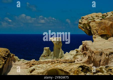 Der Weg der Naturschutzoase Carloforte, San Pietro Island, Sardinien, Italien Stockfoto