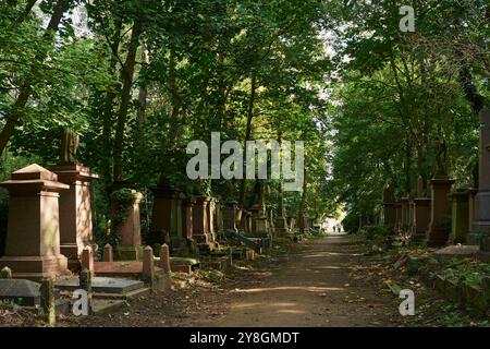Im frühen Herbst führt der Weg durch den Abney Park, Stoke Newington, London UK, mit Denkmälern Stockfoto