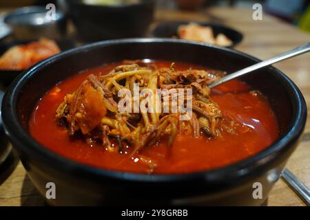 Yukgaejang ist ein scharfes koreanisches Suppengericht, das durch lange Zeit kochendes Rindfleisch, grüne Zwiebeln usw. hergestellt wird. Stockfoto