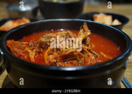 Yukgaejang ist ein scharfes koreanisches Suppengericht, das durch lange Zeit kochendes Rindfleisch, grüne Zwiebeln usw. hergestellt wird. Stockfoto