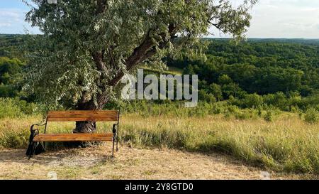 Eine Holzbank unter einem großen Baum mit Blick auf ein üppiges, grünes Tal, die an sonnigen Tagen eine friedliche Ruhe in einer ländlichen, natürlichen Umgebung bietet Stockfoto