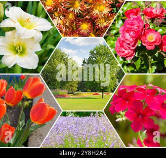 Farbenfrohe Collage des Blumengartens. Mosaikmuster. Stockfoto