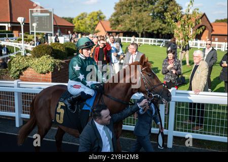 Newmarket, Großbritannien. Oktober 2024. Hollie Doyle reitet Nebras auf ihrem Weg aus dem Paradering vor dem Rennen. Der Virgin Bet Sun Chariot Day ist ein Pferderennen, das auf den Newmarket Racecourses stattfindet. Quelle: David Tramontan / Alamy Live News Stockfoto