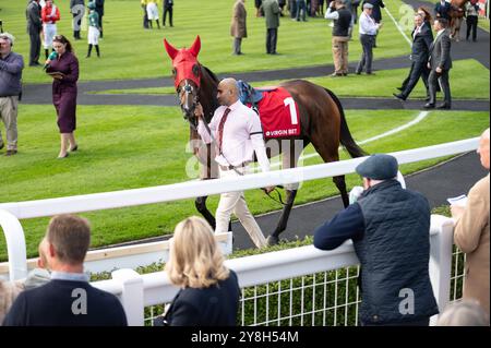 Newmarket, Großbritannien. Oktober 2024. Inspiral wird vor dem Rennen im Paradering geführt. Der Virgin Bet Sun Chariot Day ist ein Pferderennen, das auf den Newmarket Racecourses stattfindet. Quelle: SOPA Images Limited/Alamy Live News Stockfoto