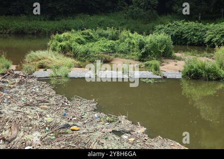 Flotsam wurde an der Neisse bei der Obermühle bei Görlitz gespült Stockfoto