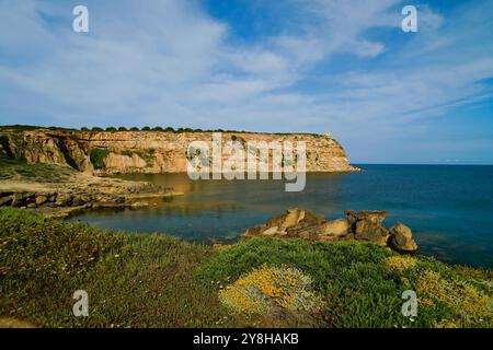 Die Klippen der Landzunge von Capo Mannu auf der Sinis-Halbinsel, Provinz Oristano, Sardinien, Italien Stockfoto