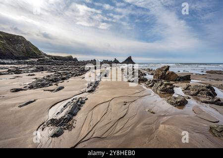 Hartland Quay North Devon Südwestengland bei Ebbe im Oktober Stockfoto