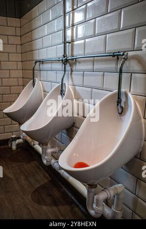 Die Urinale der Herren in einer Toilette des öffentlichen Hauses. Oktober 2024. Wales. Stockfoto