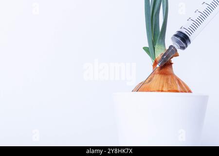 Pflanzen im Labor anbauen. Grüne Zwiebeln auf weißem Hintergrund. Pestizide, Herbizide und Düngemittel für die Pflanzenernährung. Stockfoto