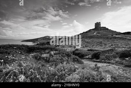 Archäologische Stätte von tharros und alter Turm. Capo san marco, Provinz, oristano, sardinien, italien Stockfoto