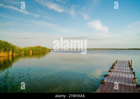 Der Teich Sale de Porcu auf der Halbinsel Sinis, der von einer großen Vielfalt an Vögeln einschließlich rosa Flamingos bevölkert wird. Provinz Oristano, Sardinien, Italien Stockfoto