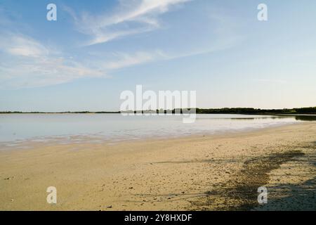 Der Teich Sale de Porcu auf der Halbinsel Sinis, der von einer großen Vielfalt an Vögeln einschließlich rosa Flamingos bevölkert wird. Provinz Oristano, Sardinien, Italien Stockfoto