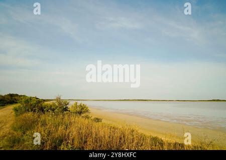 Der Teich Sale de Porcu auf der Halbinsel Sinis, der von einer großen Vielfalt an Vögeln einschließlich rosa Flamingos bevölkert wird. Provinz Oristano, Sardinien, Italien Stockfoto