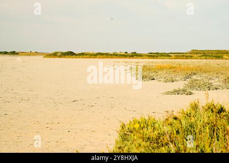 Der Teich Sale de Porcu auf der Halbinsel Sinis, der von einer großen Vielfalt an Vögeln einschließlich rosa Flamingos bevölkert wird. Provinz Oristano, Sardinien, Italien Stockfoto