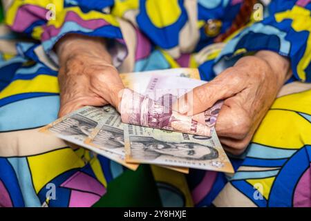 Die Finanzen des Rentners. Eine alte Dame zählt ungarisches Geld, Pension in Ungarn. Nahaufnahme Stockfoto