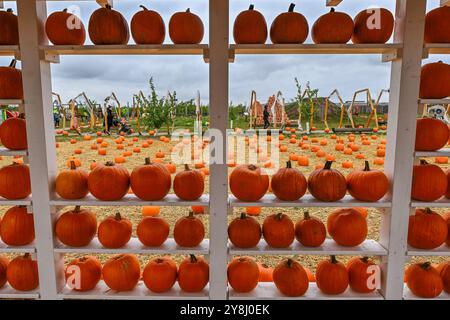 Drnholec, Region Breclav. Oktober 2024. Tausende von Kürbissen schmückten heute Kürbis World 2024 in Drnholec, Region Breclav, Tschechische Republik, 5. Oktober 2024. Quelle: Vaclav Salek/CTK Photo/Alamy Live News Stockfoto