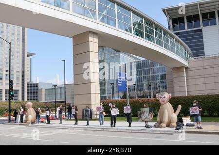 Chicago, USA. Oktober 2024. Mit massiven aufblasbaren Affen protestierte PETA vor der Society for Neuroscience Conference am McCormick Place in Chicago, Illinois, USA am 5. Oktober 2024. Da viele Vivistoren anwesend sind, fordert das PETA ein Ende grausamer Tierversuche, die Finanzierung humaner nicht-tierischer Forschung und die Förderung des "Research Modernization Deal", einer bahnbrechenden Strategie, Tiere in Experimenten durch menschlich relevante Modelle zu ersetzen. (Foto: Alexandra Buxbaum/SIPA USA) Credit: SIPA USA/Alamy Live News Stockfoto