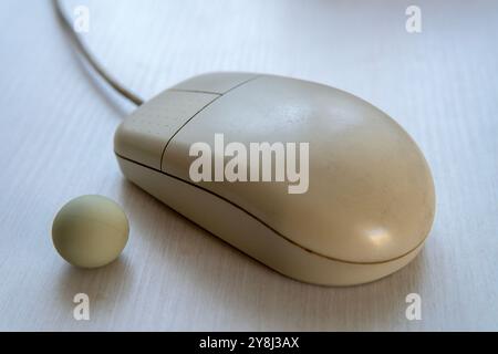 Alte Computermaus, die nach dem Prinzip einer Kugel auf einem Tisch läuft. Computerzubehör für Computer. Heller Hintergrund. Stockfoto
