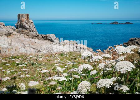 Mer d'Iroise au Large de l'île d'Ouessant (Keltisches Meer von der Insel Ushant aus gesehen) Stockfoto