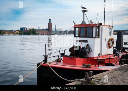 Eine Möwe steht auf einem kleinen Pilotenboot, das am Südufer Stockholms vor Anker liegt - mit dem Rathaus im Hintergrund Stockfoto