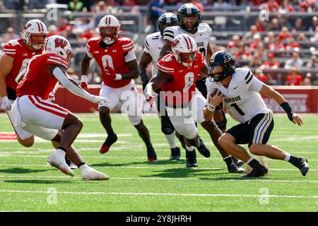 5. Oktober 2024: Purdue Boilermakers Quarterback Hudson Card (1) führt den Ball als Wisconsin Badgers Linebacker Leon Lowery Jr. (8), der ihn während des NCAA Football-Spiels zwischen den Purdue Boilermakers und den Wisconsin Badgers im Camp Randall Stadium in Madison, WI aufspürt. Darren Lee/CSM. (Bild: © Darren Lee/Cal Sport Media) Stockfoto