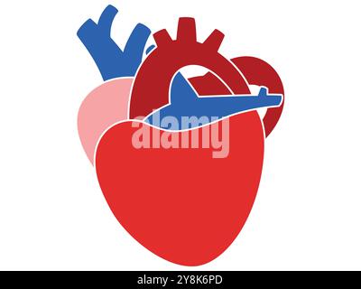 Herz Herz Herz menschliches Organ farbige Version Anatomie Wissenschaft Biologie Lernen Bildungsdesign Stock Vektor