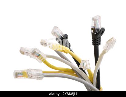 Mehrfarbige Netzwerkkabel mit angespritztem RJ45-Stecker, isoliert auf weißem Hintergrund Stockfoto