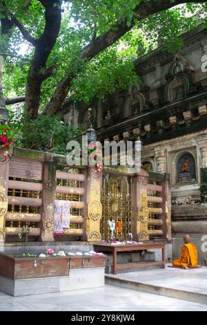 Bihar, Indien buddhistischer Mönch an der heiligen Stätte von Bodh Gayā Stockfoto