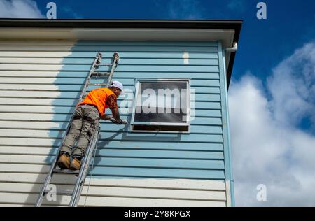 Ein Maler versiegelt den Fensterrahmen eines alten Holzhauses, das in South Hobart, Tasmanien, neu gestrichen wird. Stockfoto