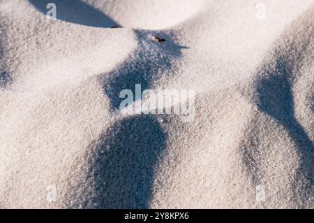 Der berühmte weiße Sand von Hyams Beach, Jervis Bay, NSW, Australien Stockfoto