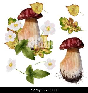 Herbstset aus weißem Pilz, Eichen- und Birkenblättern und weißen Blumenanemonen. Aquarellabbildung auf weißem Hintergrund. Stockfoto