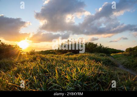 Sonnenuntergang am Strand auf Mauritius. Diese wunderschönen Sonnenuntergänge an solchen Traumstränden finden Sie nur hier Stockfoto