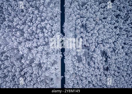 Lange Straße gerade durch verschneiten Wald im Winter, Polen Stockfoto