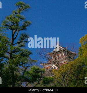 Hiroshima, Japan - 6. März 2018 - die Burg Hiroshima, die nach der Zerstörung durch die Atombombe wieder aufgebaut wurde, ist teilweise von üppigen grünen Bäumen verdeckt und wird von den Bäumen und der Stadt verdeckt Stockfoto