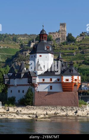 Schloss Pfalzgrafenstein auf der Insel Falkenau am Rhein in Deutschland Stockfoto