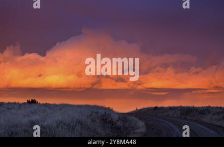 Cypress Hills Sonnenuntergang Elkwater Alberta Horeshoe Canyon Stockfoto