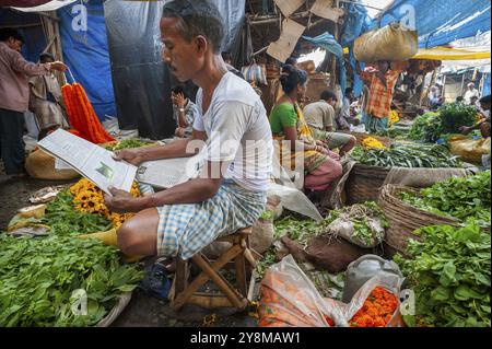 Händler, der Zeitungen liest, Obst-, Gemüse- und Blumenmarkt, Howrah Bridge, Kalkutta oder Kalkutta, Westbengalen, Ostindien, Indien, Asien Stockfoto