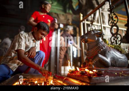 Junge, der Kerze vor dem Stier Nandi anzündet, Berg Gottes Shiva, Minakshi oder Meenakshi oder Sri Minakshi Sundareshwara Tempel, Madurai, Tamil Nadu, I Stockfoto