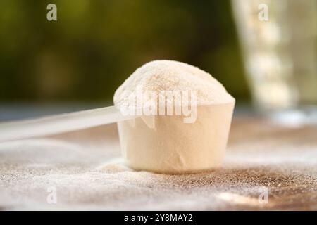 Nahaufnahme von Kollagenpulver in einem Plastik-Messlöffel auf einem Tisch Stockfoto