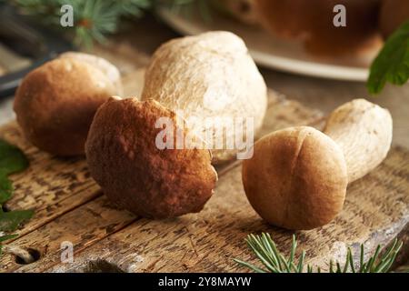 Das Reinigen von ganzen frischen wilden Königspilzen oder Steinpilzen auf einem hölzernen Schneidebrett Stockfoto